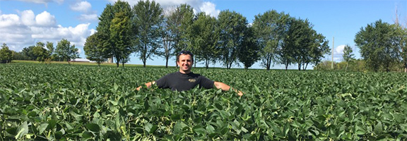 young man standing in large field with a tall crop. The plants are chest height.